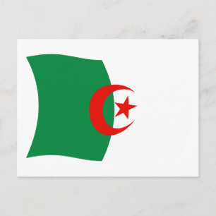 Algeria Flag Postcard
