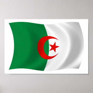 Algeria Flag Poster Print