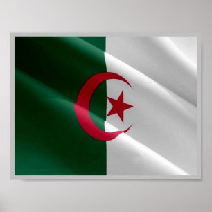 Algeria - Flag Waving - Poster