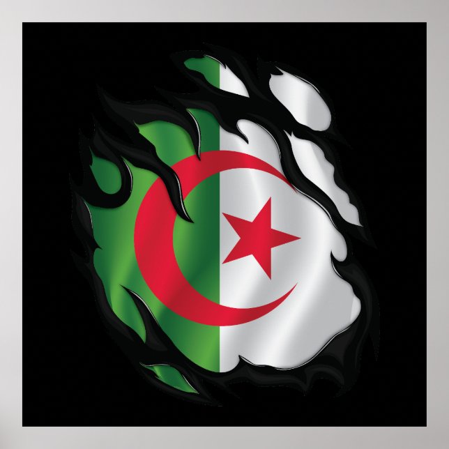 Algeria Ripped Flag Poster (Front)