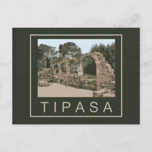Algeria Tipasa Postcard
