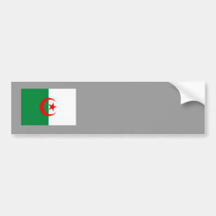 Algerian flag bumper sticker