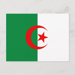 Algerian flag postcard