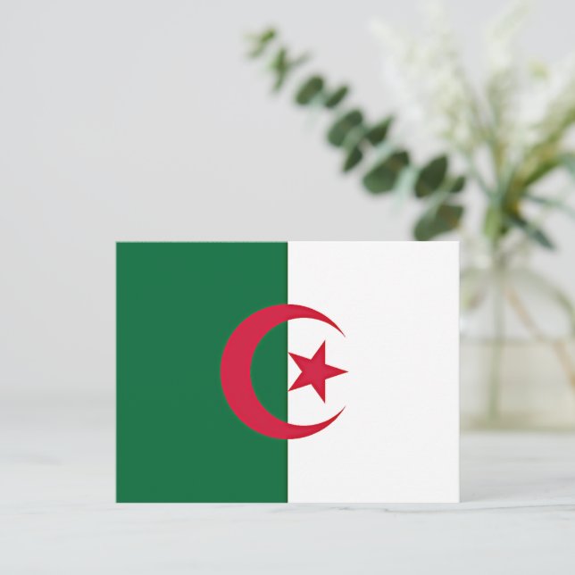Algerian flag postcard (Standing Front)