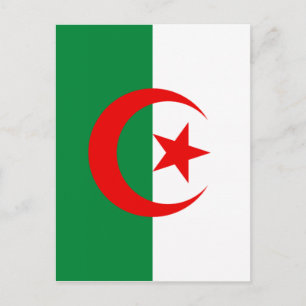 Algerian flag postcard
