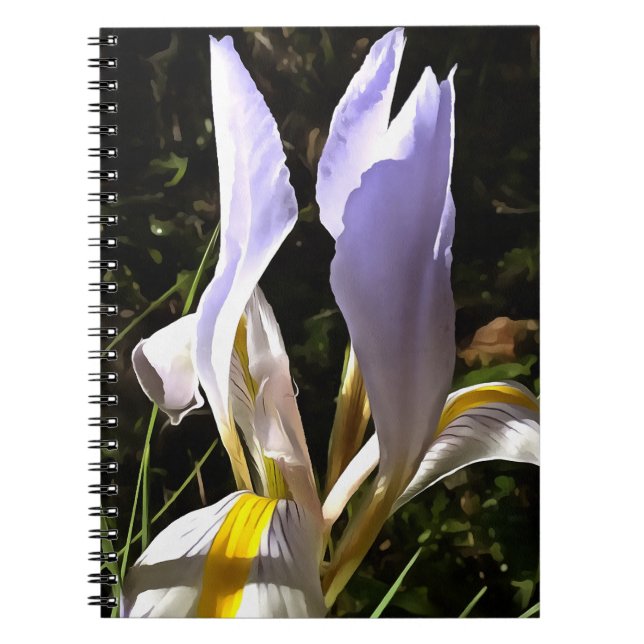 Algerian Iris Hyperrealistic Wildflower Painting Notebook (Front)