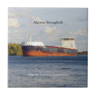 Algoma Strongfield tile