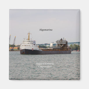 Algomarine magnet