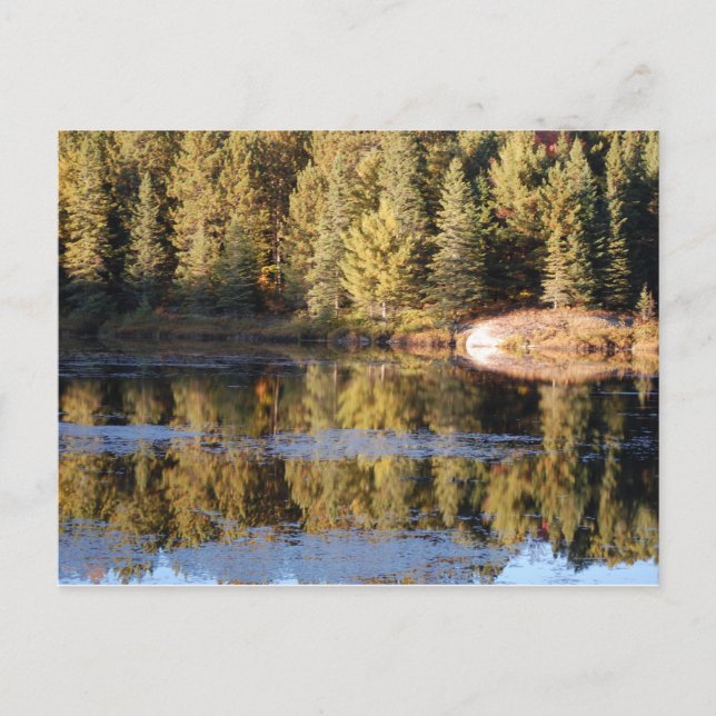 Algonquin Landscape Postcard (Front)