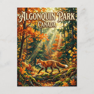Algonquin Provincial Park Canada Postcard