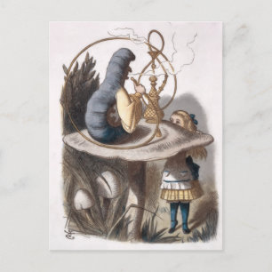  ALICE and Caterpillar  Postcard