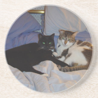 Alice and Sydney Coaster