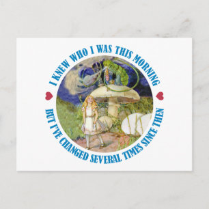 Alice and the Caterpillar in Wonderland Postcard