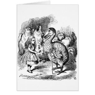 Alice and the Dodo Bird