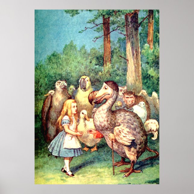 Alice and the Dodo Bird in Wonderland Poster (Front)