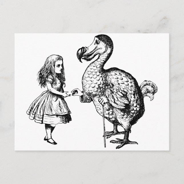 Alice and the Dodo Postcard (Front)