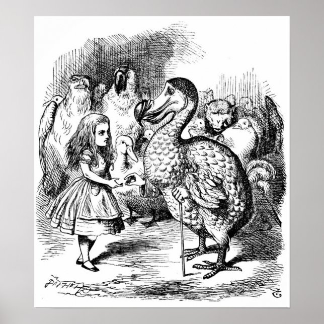 Alice and the Dodo Poster (Front)