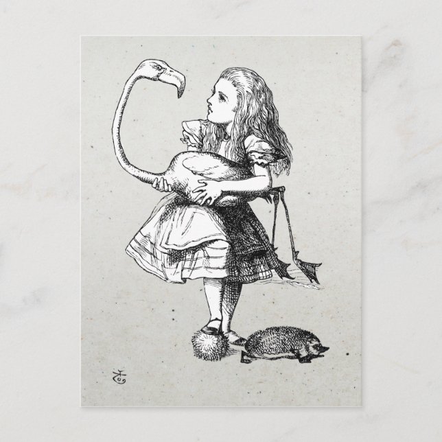 Alice and the Flamingo  Postcard (Front)