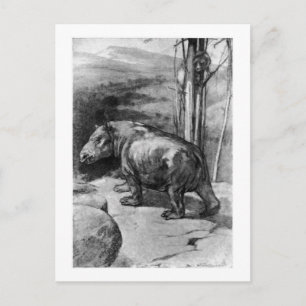 Alice B. Woodward :Coryphodon art postcard
