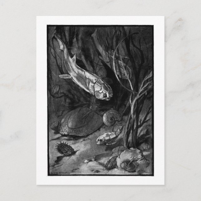 Alice B. Woodward: Devonian Period art postcard (Front)