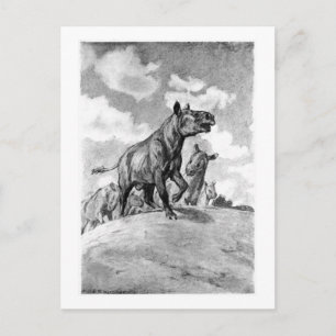 Alice B. Woodward: Hyracodon art poscard Postcard