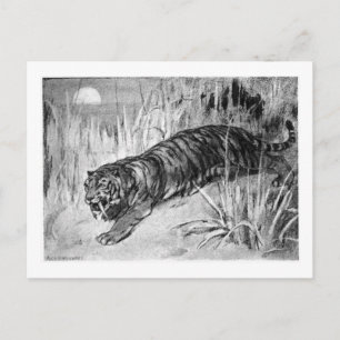 Alice B. Woodward: Machaerodus art poscard Postcard