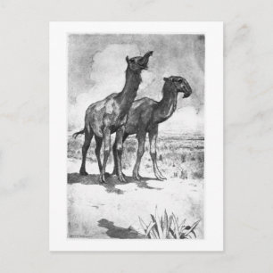 Alice B. Woodward: Macrauchenia art postcard