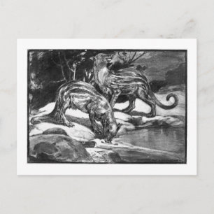 Alice B. Woodward: Phenacodus art postcard