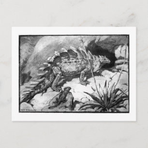 Alice B. Woodward: Stegosaurus art postcard