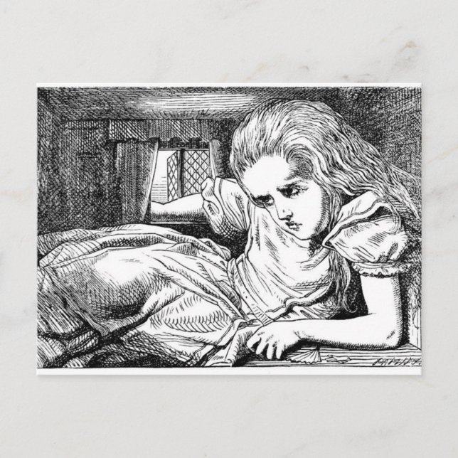 Alice in the White Rabbit's House Postcard (Front)
