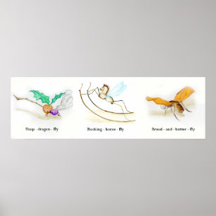 Alice in Wonderland Bugs Poster