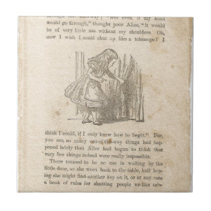 Alice In Wonderland, Chapter One, Down the Rabbit Tile