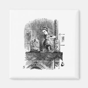 Alice in Wonderland Through the Looking Glass Magnet