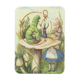 Alice Meets the Caterpillar Magnet