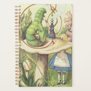 Alice Meets the Caterpillar Planner