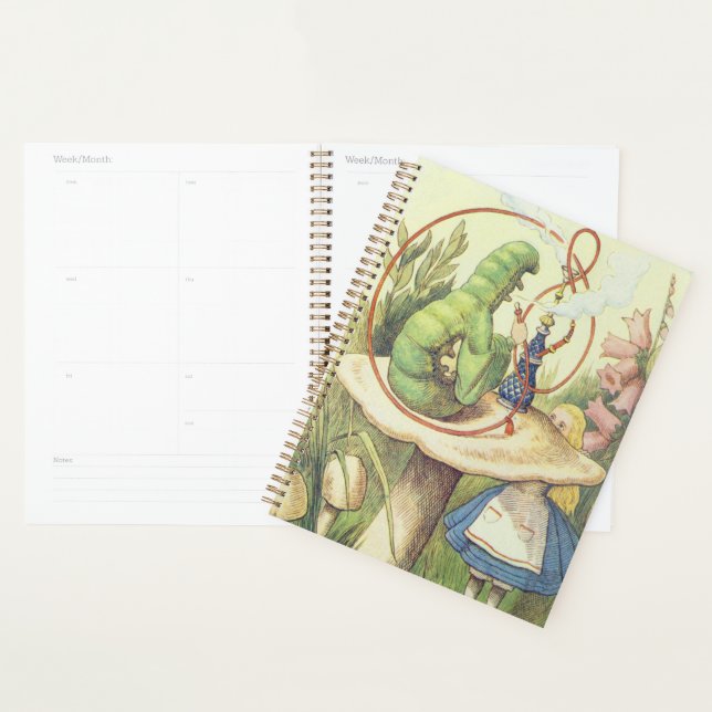 Alice Meets the Caterpillar Planner (Display)