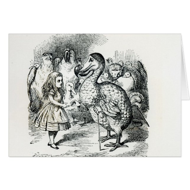 Alice meets the Dodo (Front Horizontal)