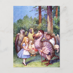 ALICE MEETS THE DODO BIRD POSTCARD
