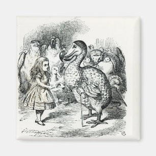 Alice meets the Dodo Magnet