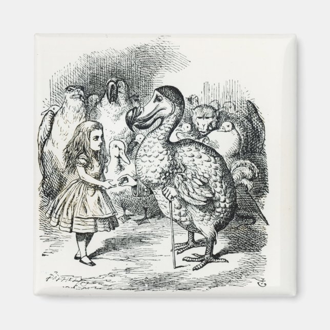 Alice meets the Dodo Magnet (Front)