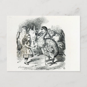 Alice meets the Dodo Postcard