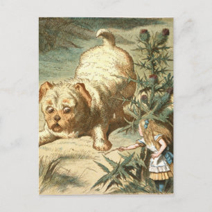 Alice Postcard