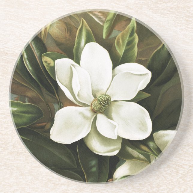 Alicia H. Laird: Magnolia Grandflora Coaster (Front)