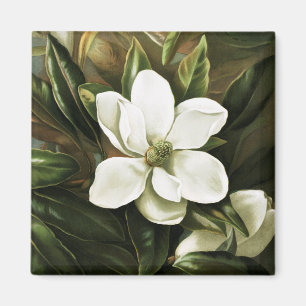 Alicia H. Laird: Magnolia Grandflora Magnet
