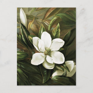 Alicia H. Laird: Magnolia Grandflora Postcard