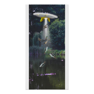 Alien abduction poster, fish, ducks.  poster