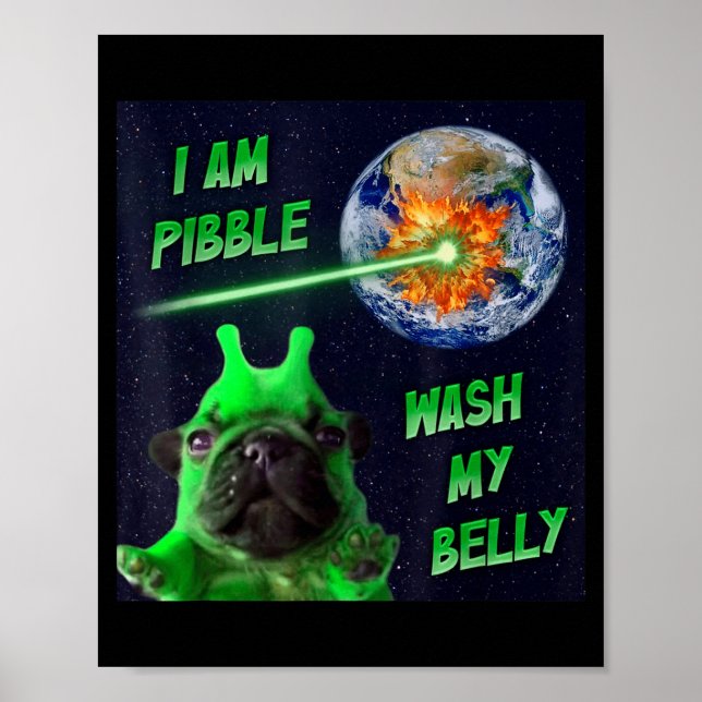Alien Bble Funny Brainrot Dog Meme Space I Am Bble Poster (Front)