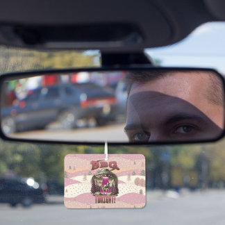 Alien BBQ Cow Abduction Joke Car Air Freshener