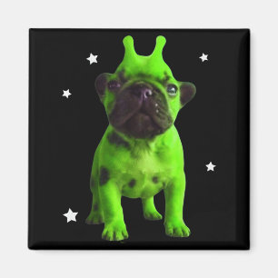 Alien Dog Meme Retro Silly Dog Vintage Space Pibbl Magnet