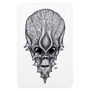 Alien Face , African Skull Facial Reconstruction Magnet
